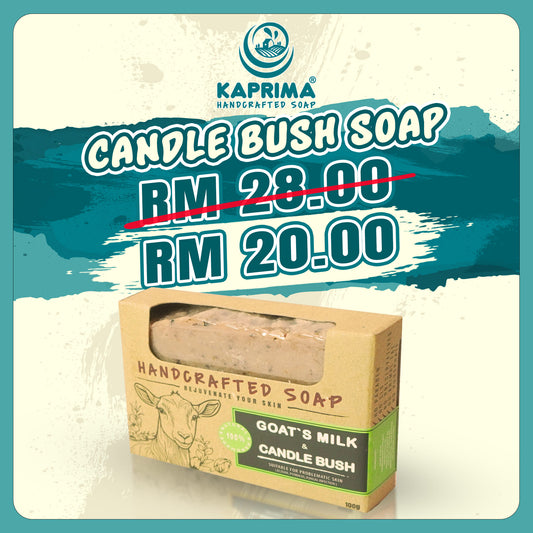 1pc Handcrafted Soap Goat Milk + Candle Bush (100g)